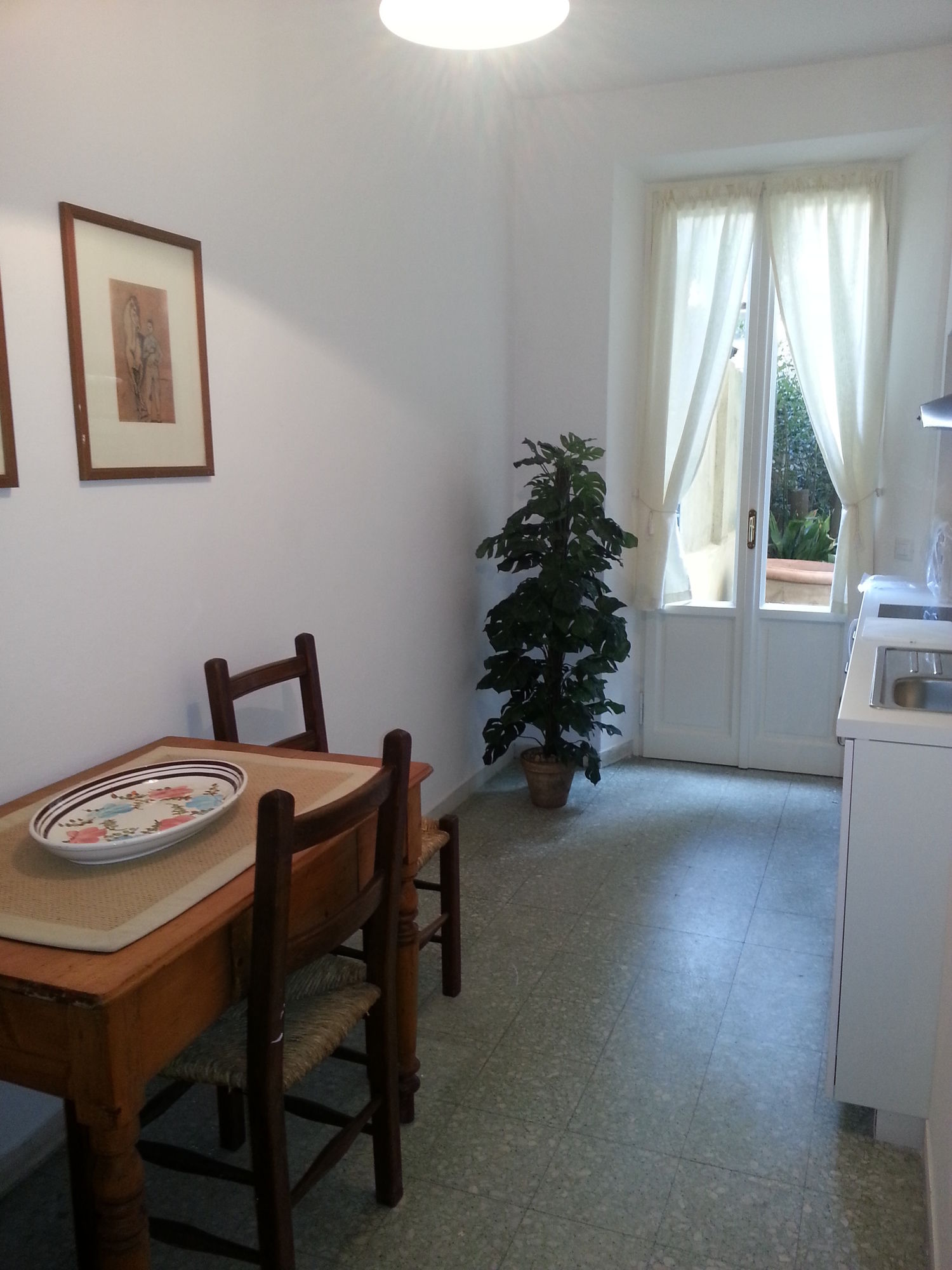 Фото Little Garden Donatello