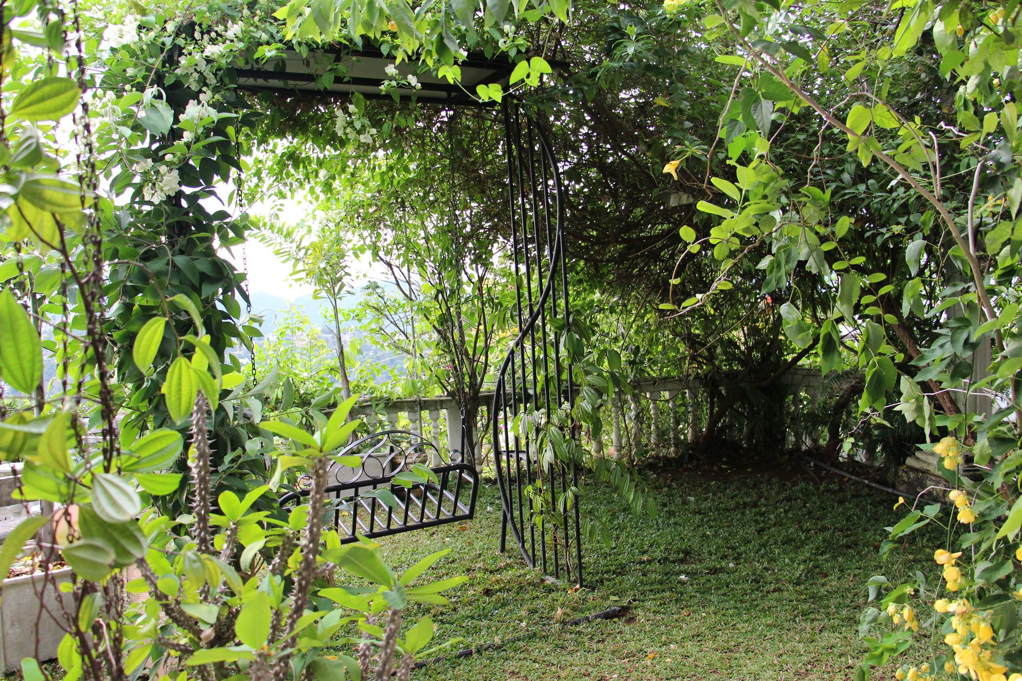 Фото The Richmond House Grand