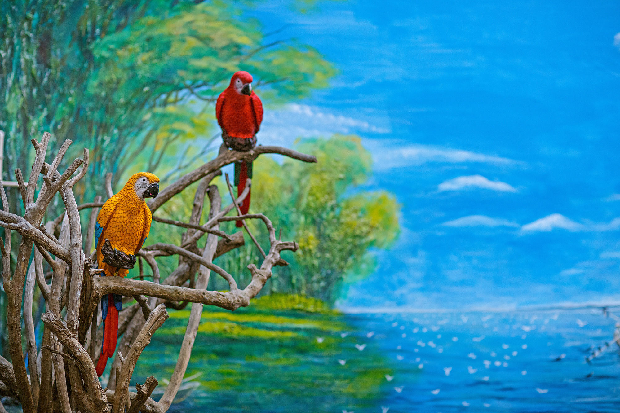 Фото China Old Story Inns Dali Ancient Town