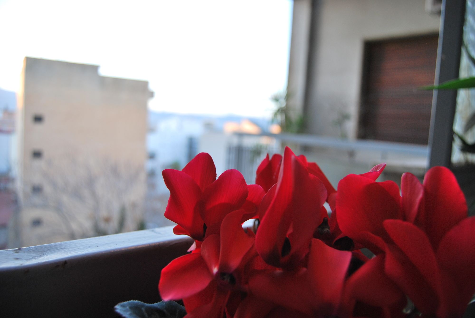 Фото La Casa Reggina