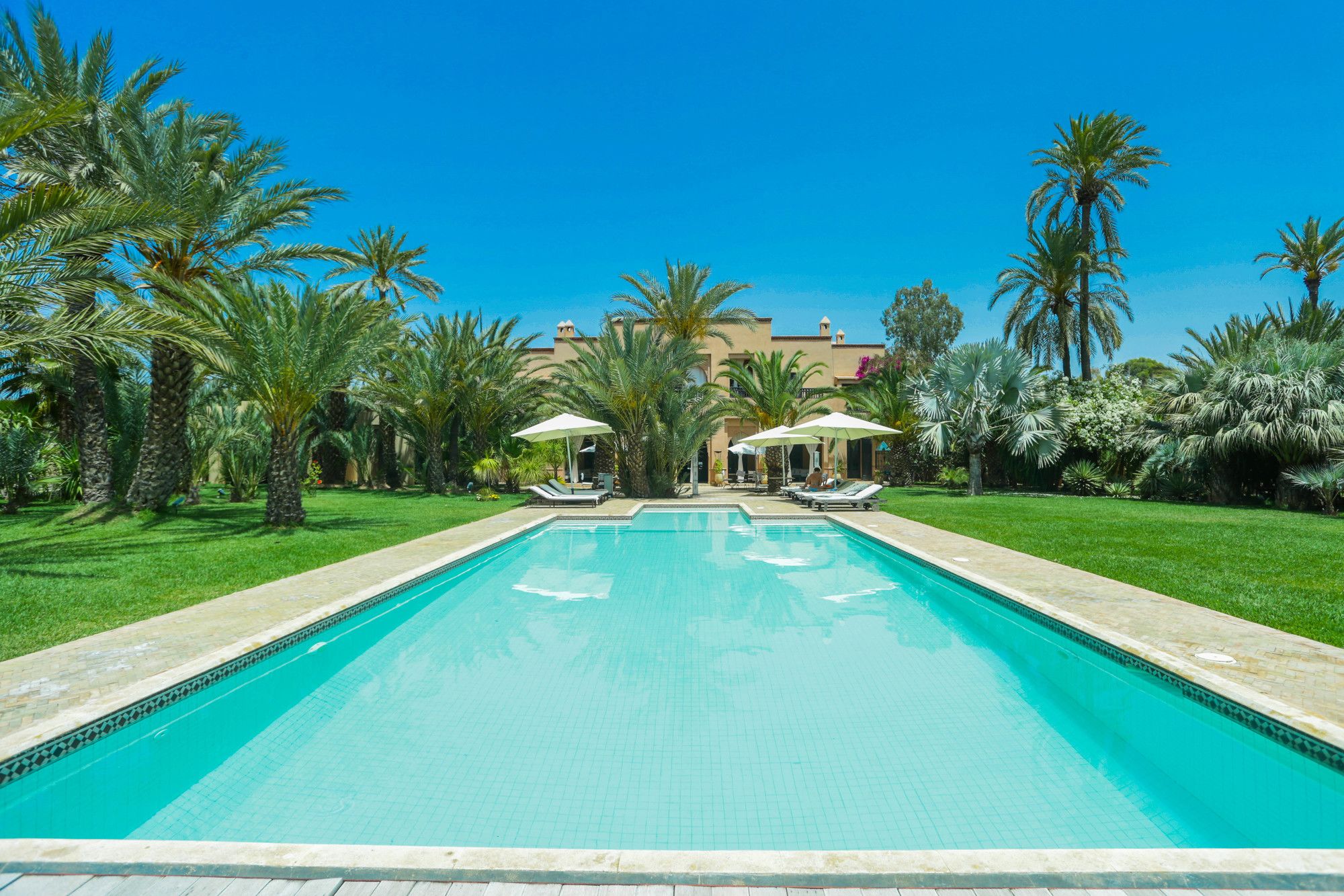 Фото Villa Le Perroquet Bleu