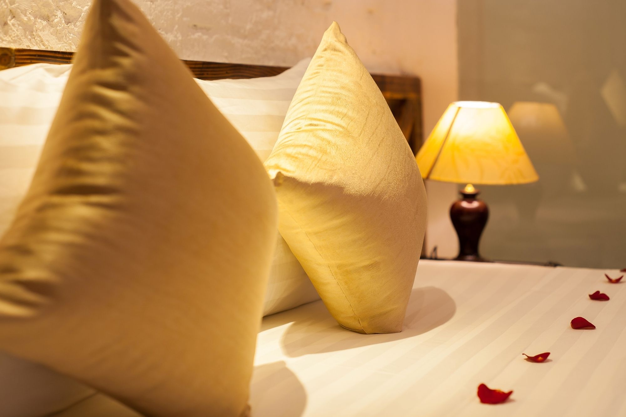 Фото Luxury Backpakers