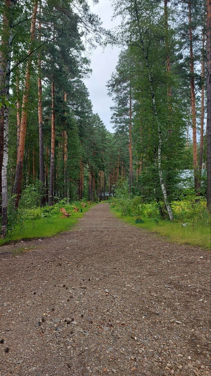 Фото Эко-парк Алтай Грин