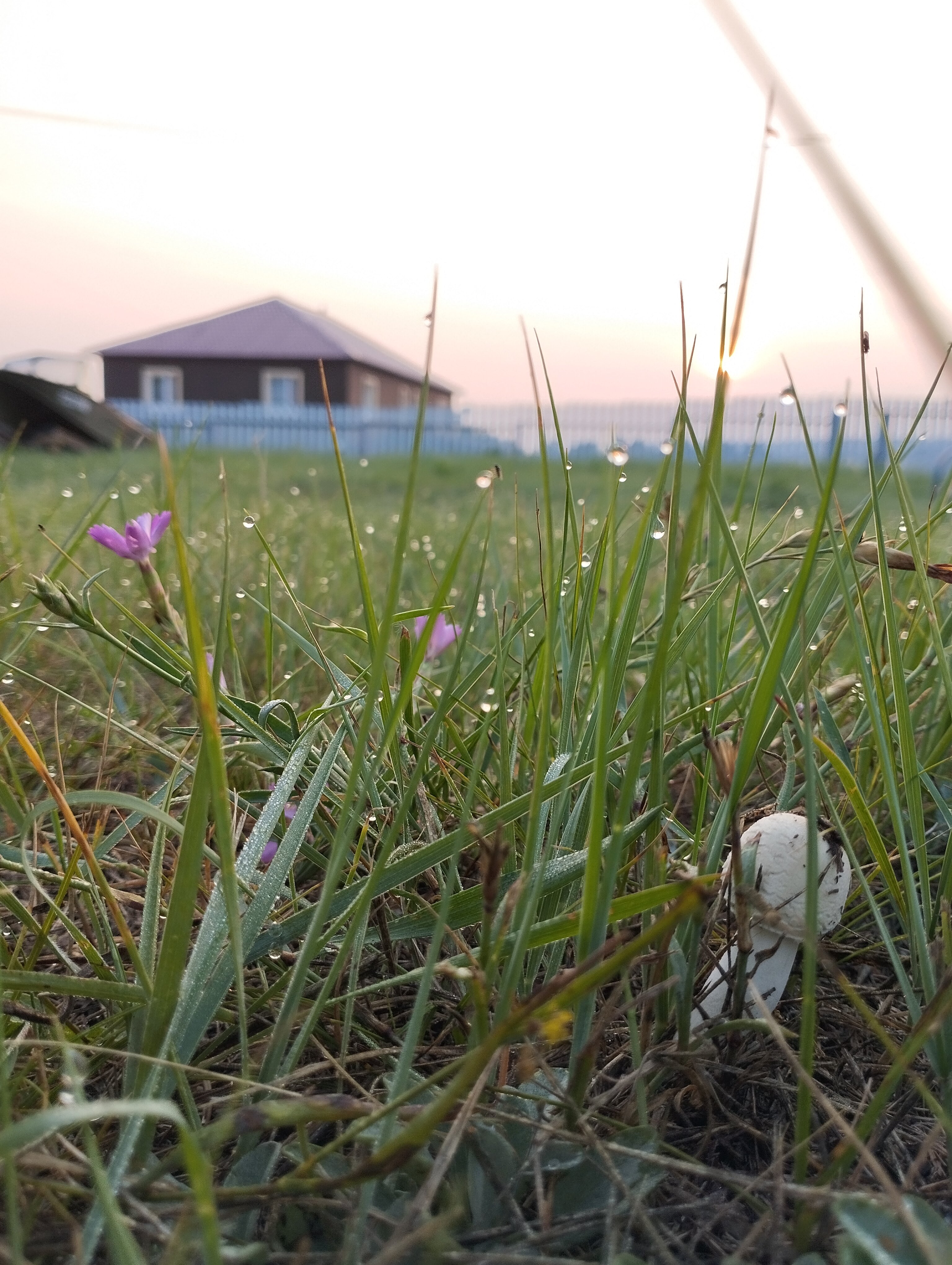 Фото Шамбала