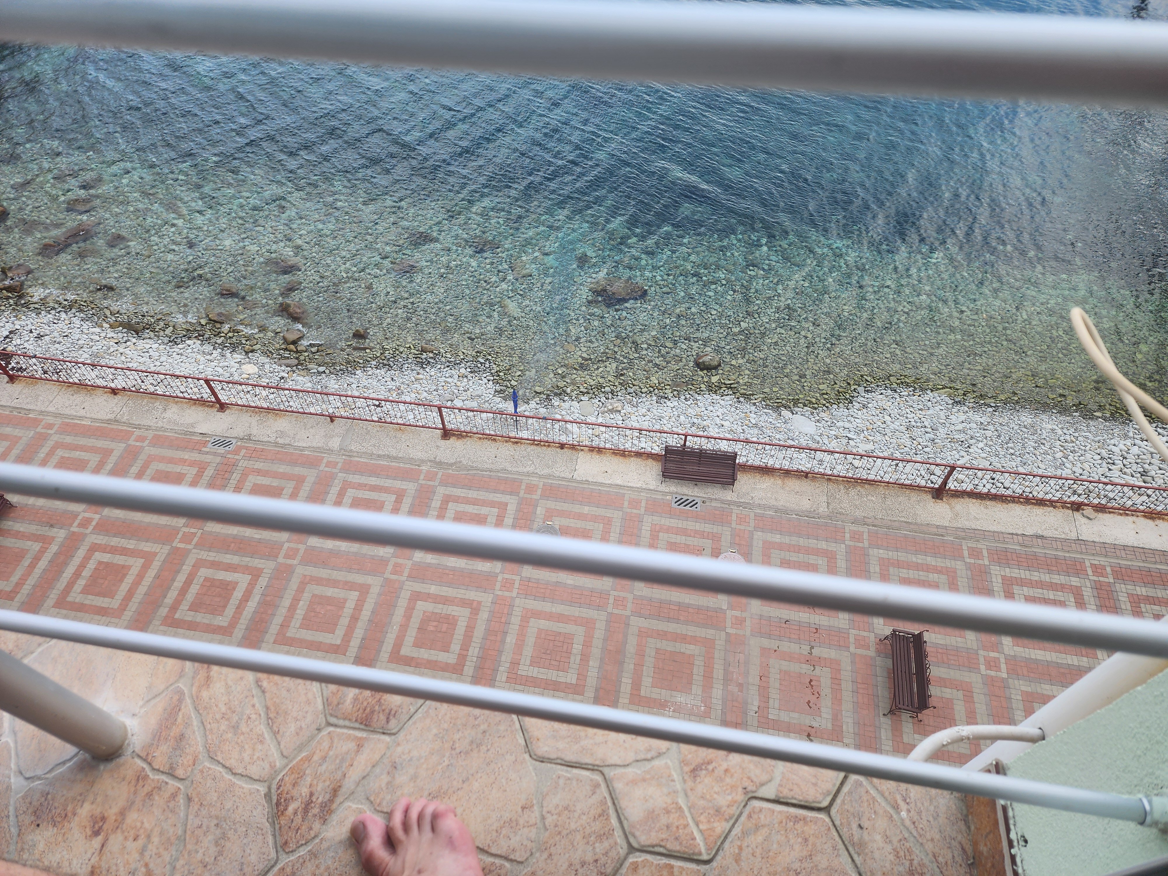 Фото Наутилус