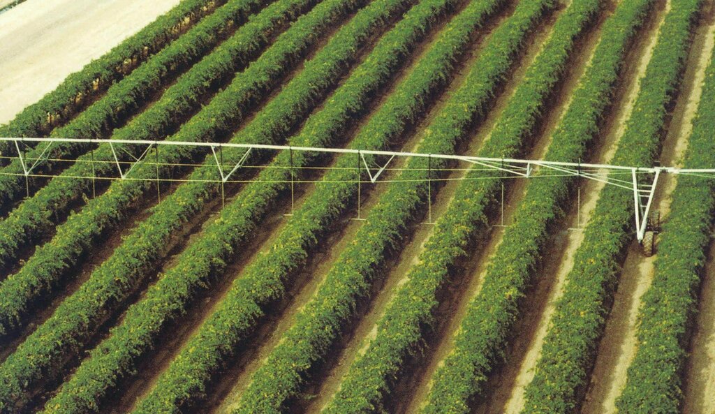 Industrial enterprise Afko Pivot Irrigation Systems, Ankara, photo