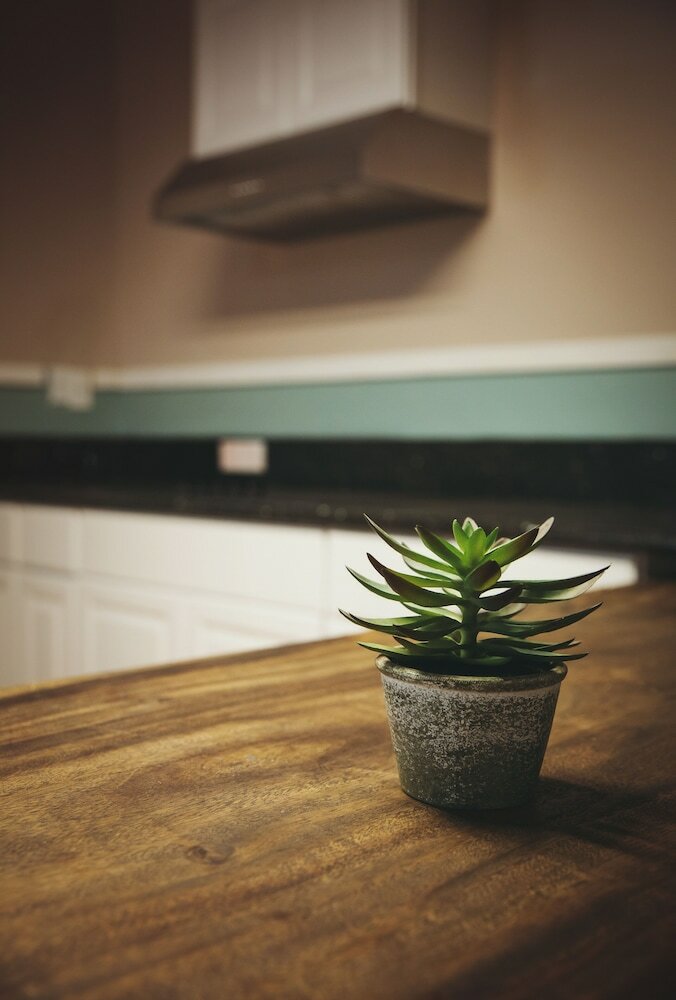 Фото Melrose Hostel