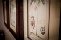 Фото Olaf's Guest House