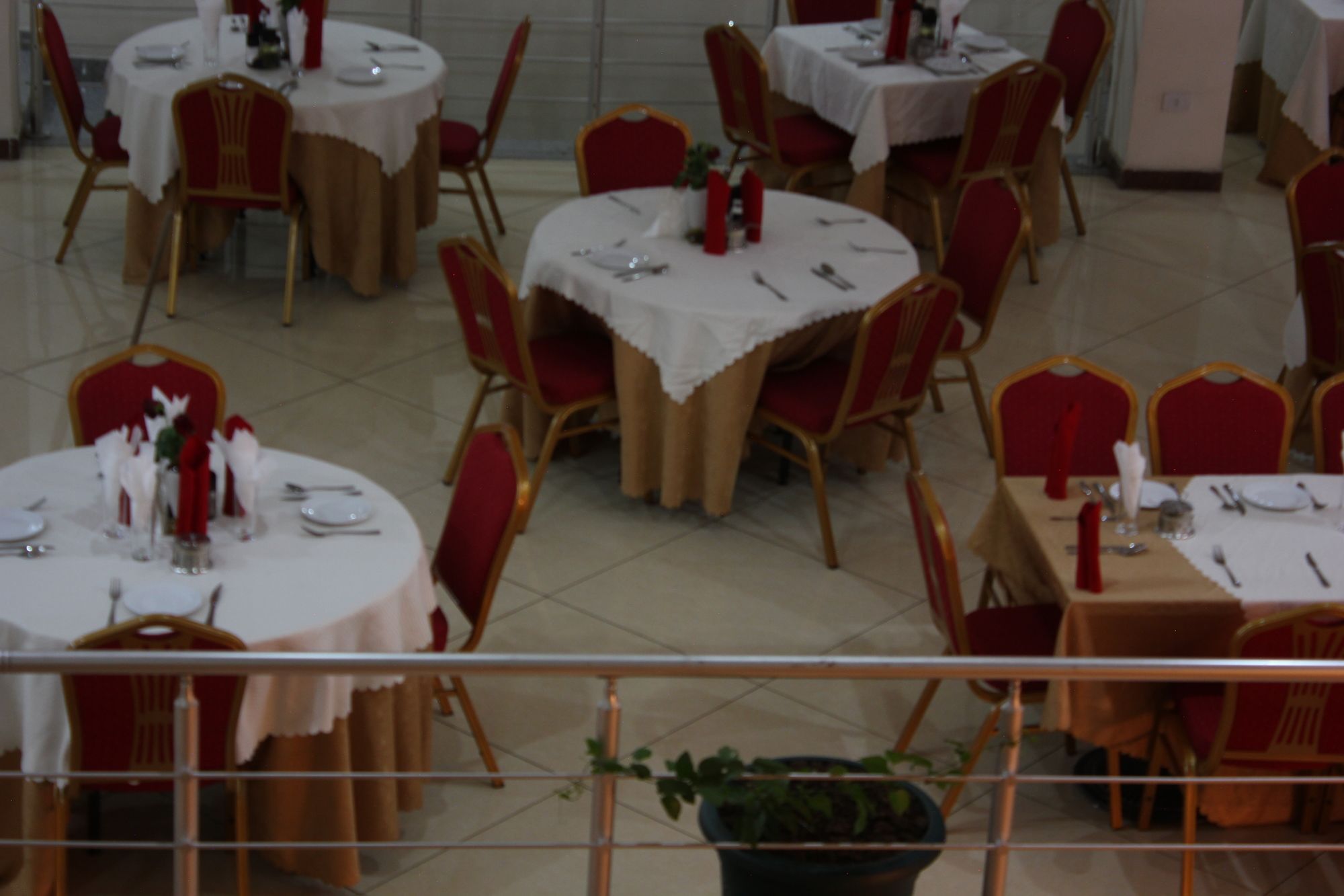 Фото Blue Birds International Hotel