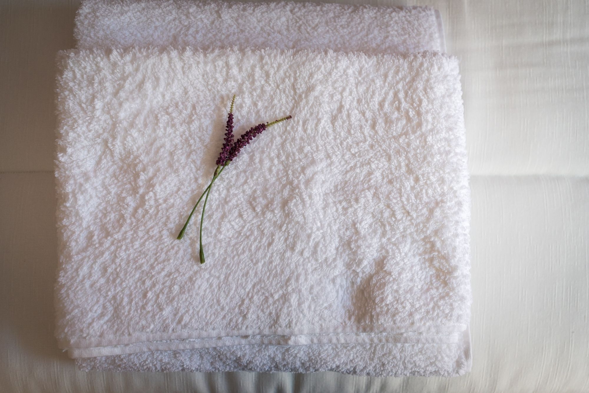 Фото Hostal Carracedo