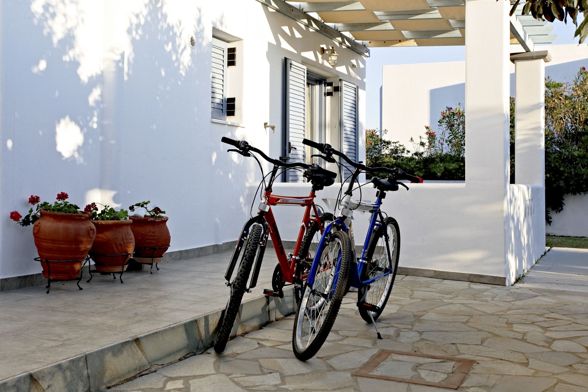 Фото Kallisti Studios