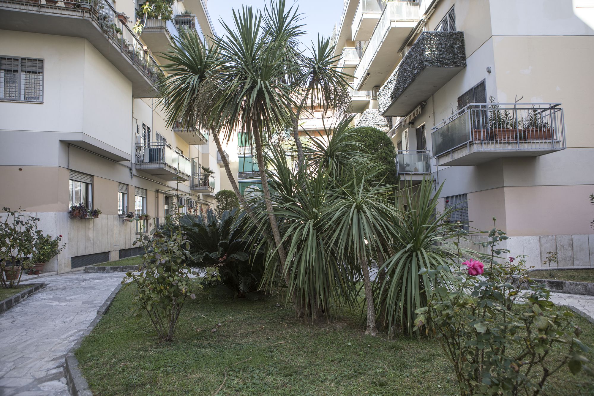 Фото Dreams of Rome