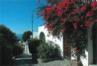 Фото Hotel Senaria