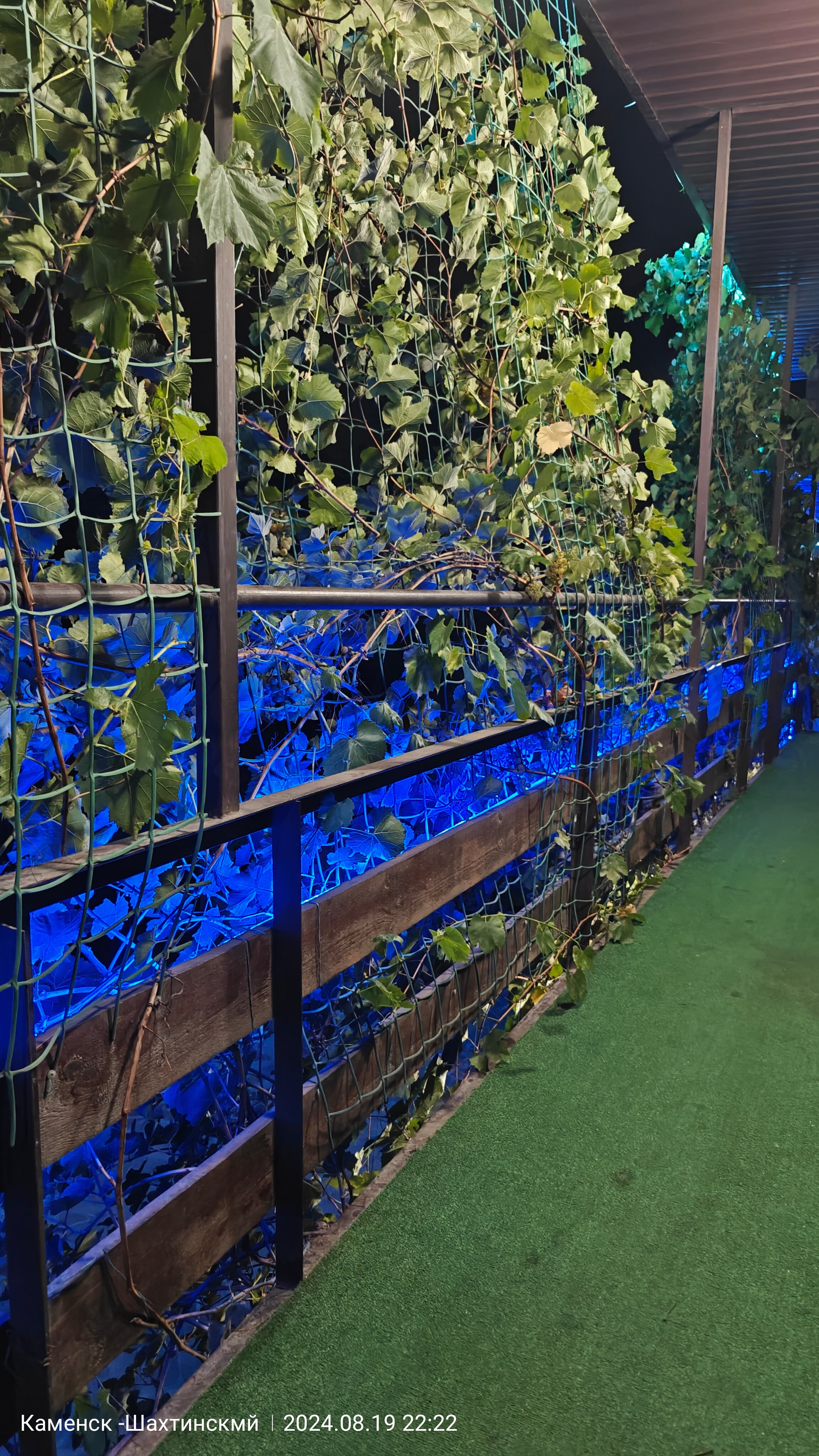 Фото Астория