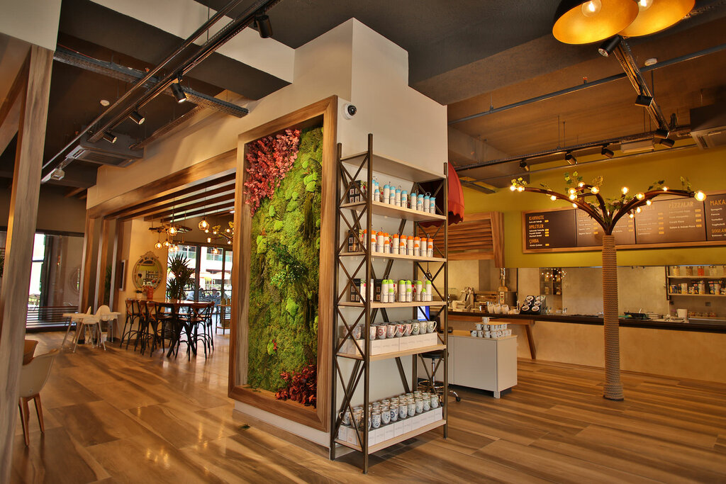 Cafe Chestnut Cafe, Isparta, photo