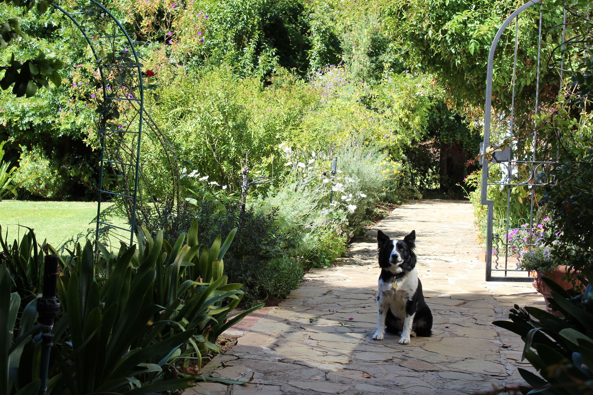 Фото Klein Bosheuwel Guest House