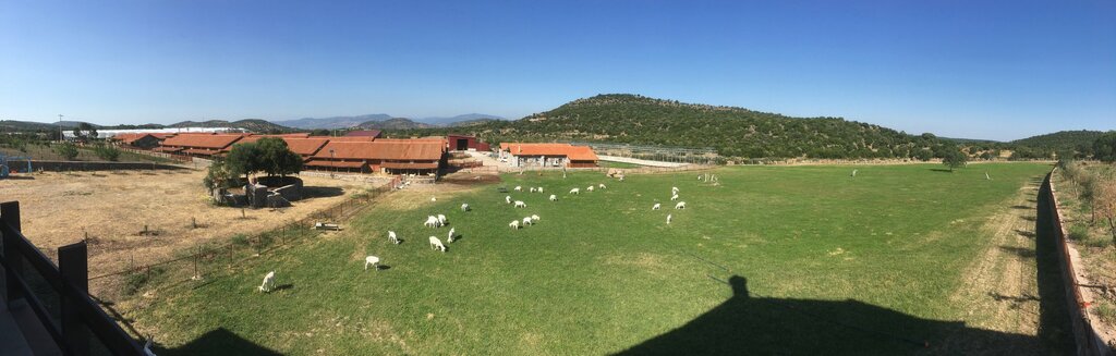 Agricultural enterprise Keçi Köyü Çiftliği, Dikili, photo