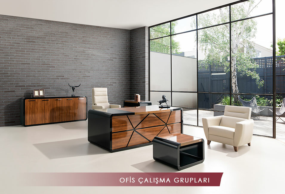 Household goods and chemicals shop Ozen Buro Mobilya, Eskisehir, photo