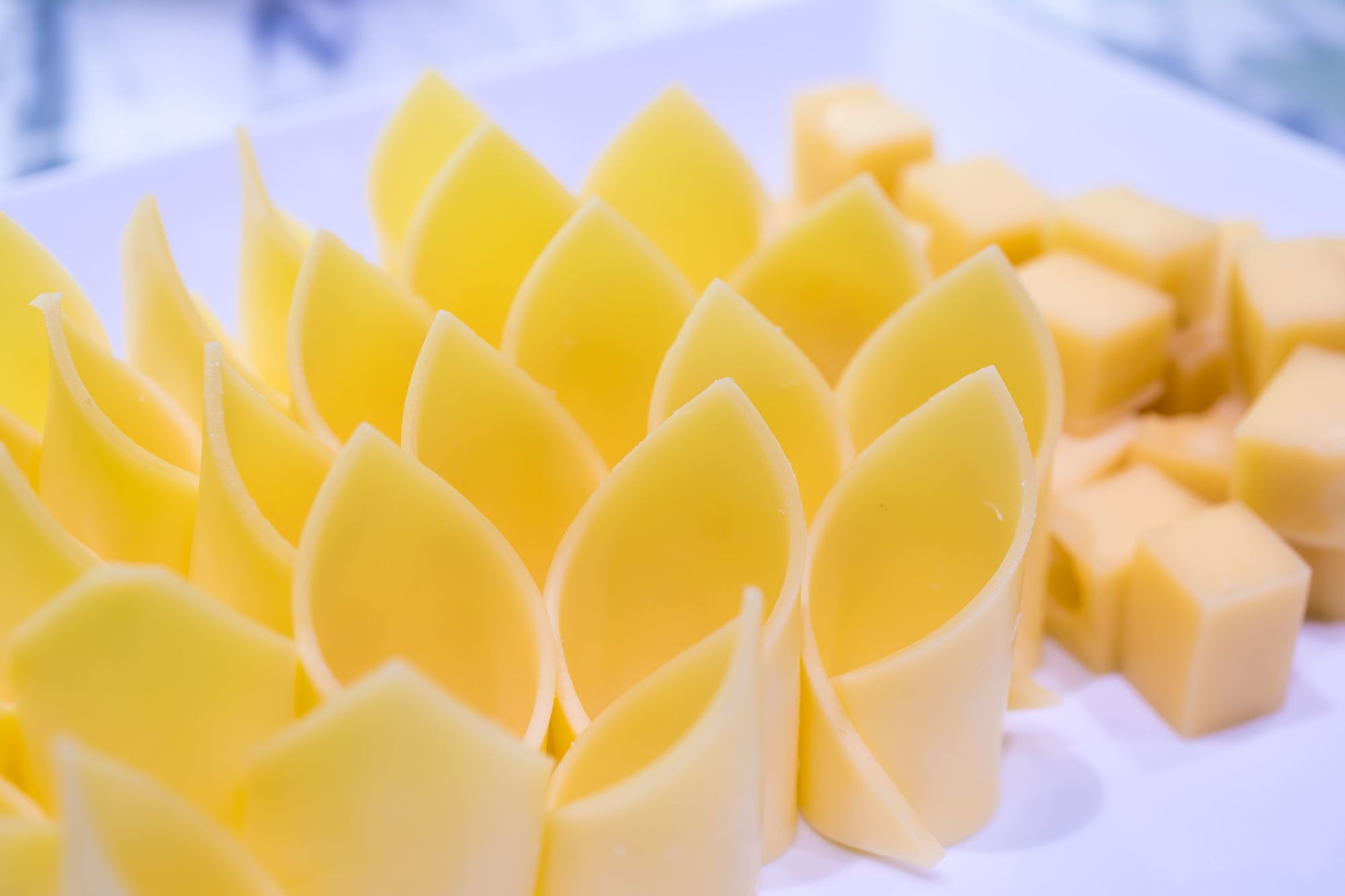 Фото Conifer Grand Hotel