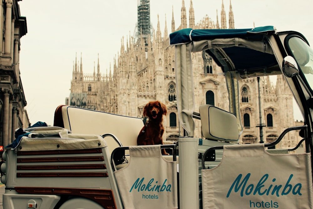 Фото Mokinba Hotels Baviera