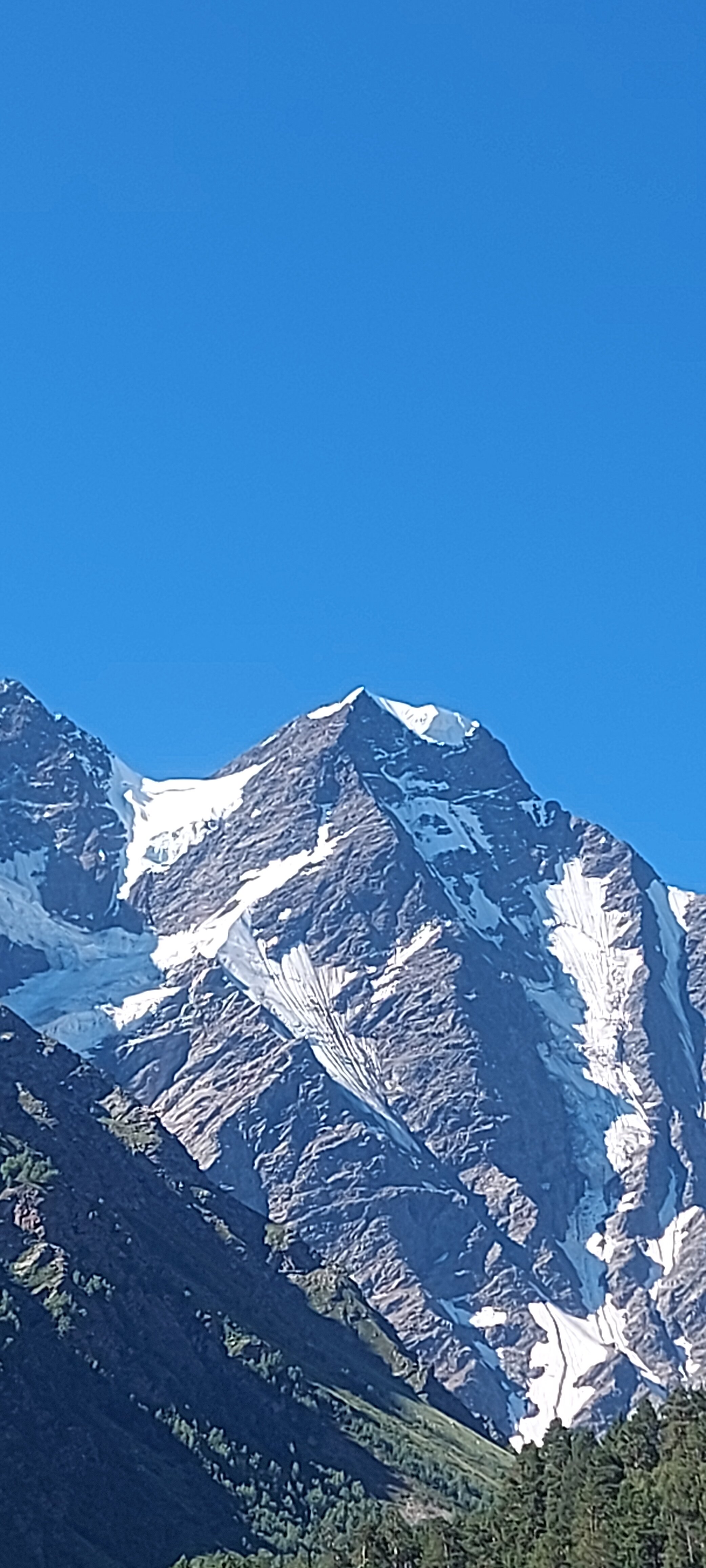 Фото Cheget Star