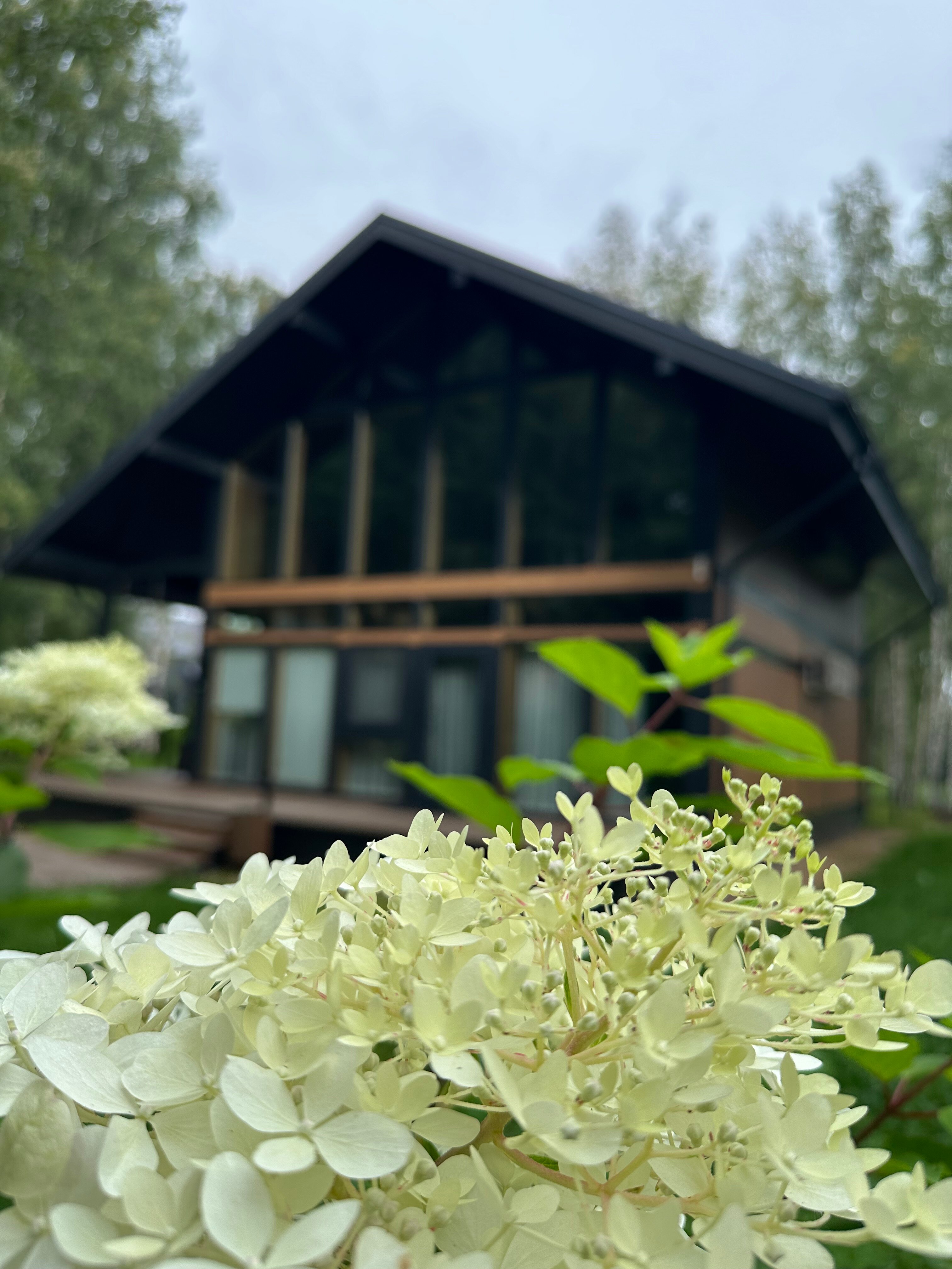 Фото Плавное течение