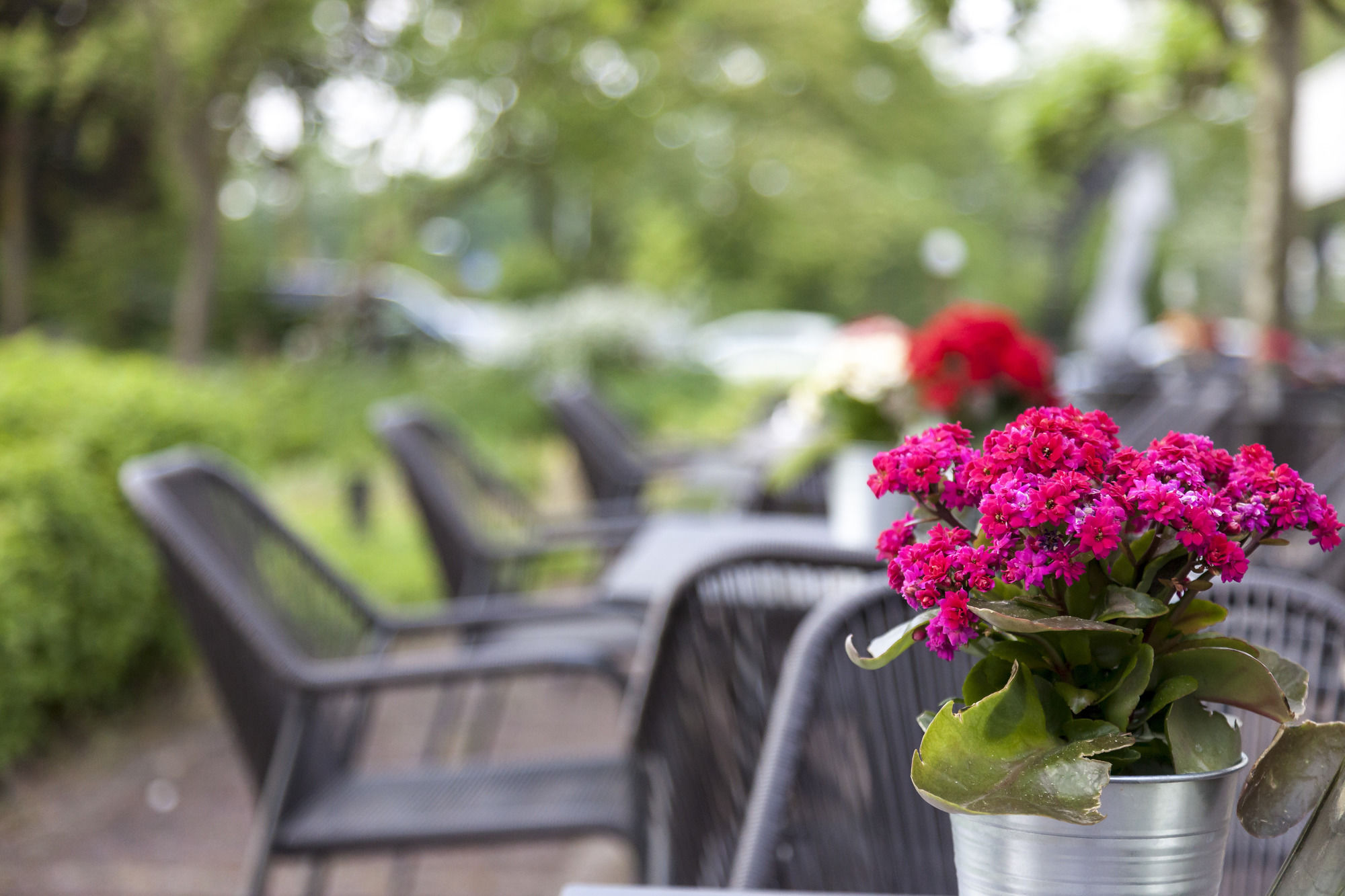 Фото Fletcher Hotel Frerikshof