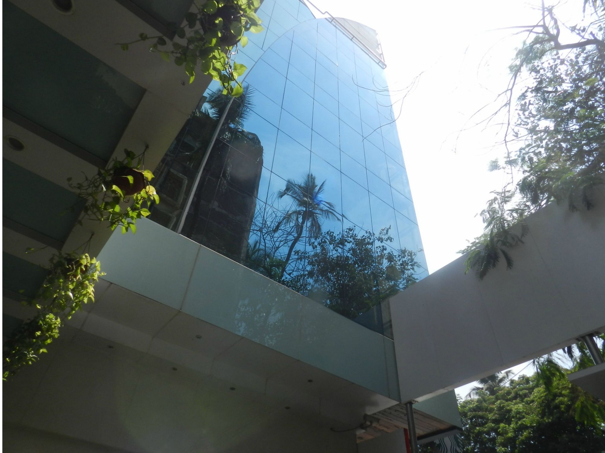 Фото Hotel Bawa Continental