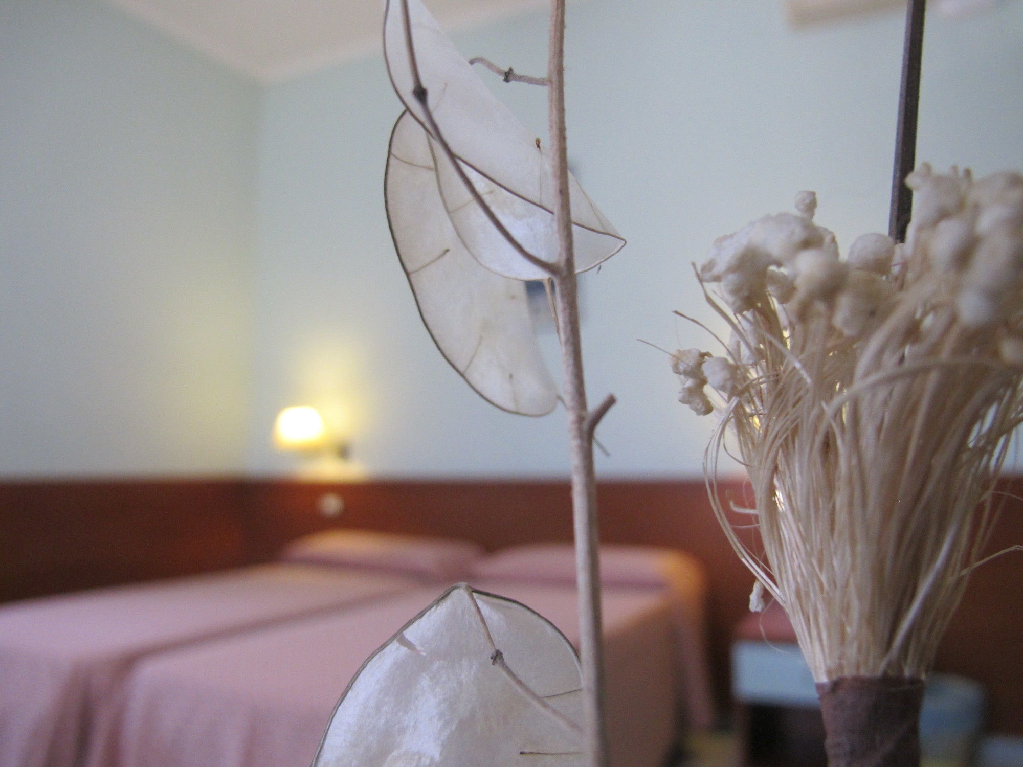 Фото Hotel Katty