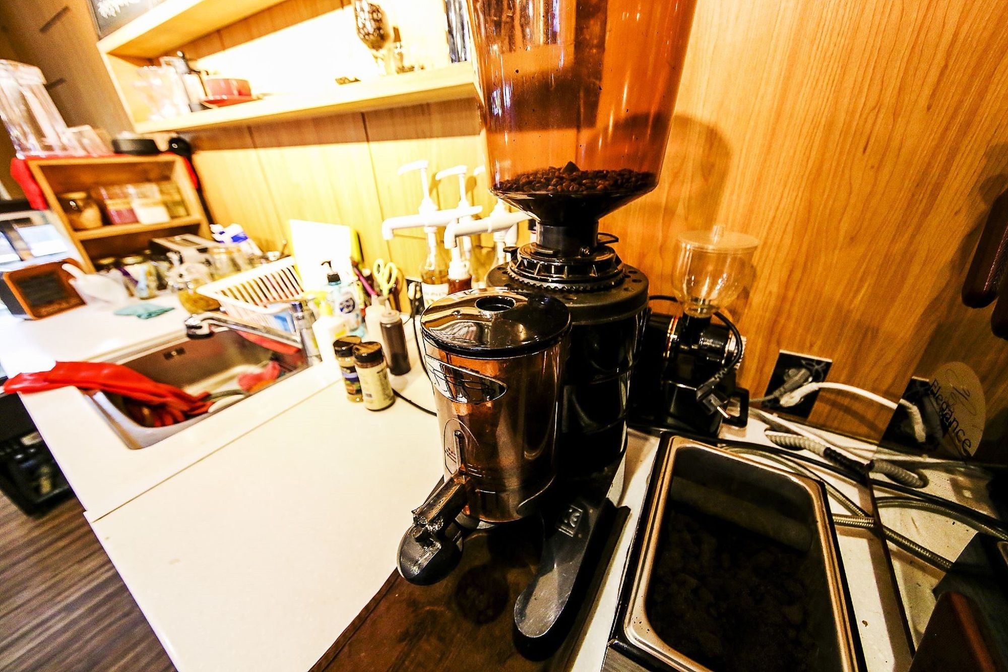 Фото Hotel Pavia