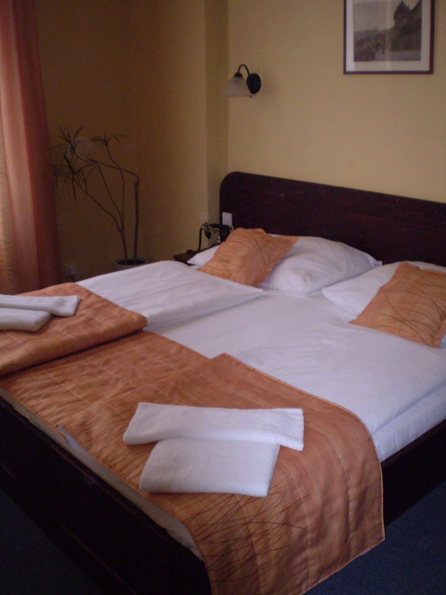 Фото At The Old Lady