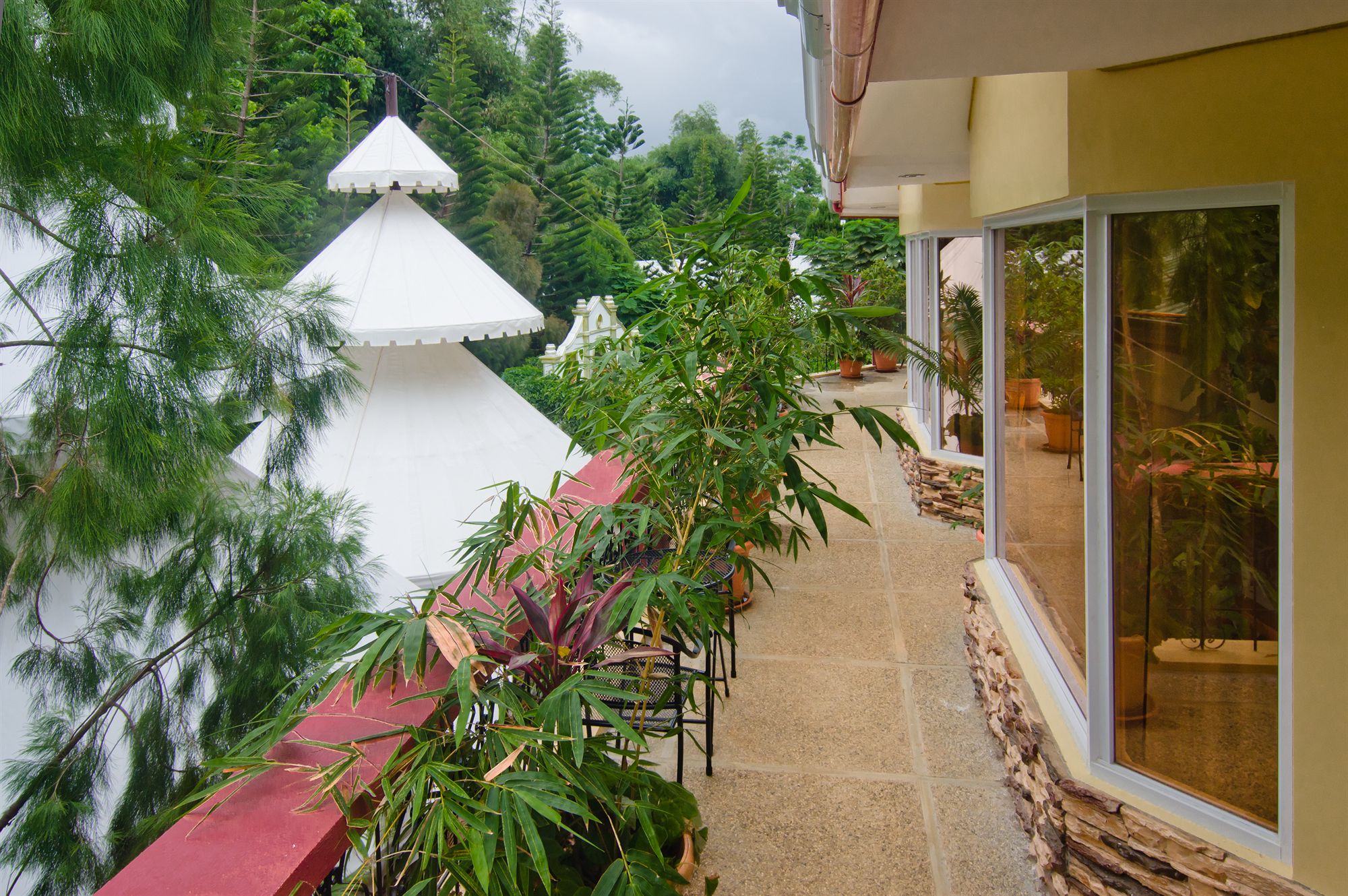 Фото Deep Forest Garden Hotel