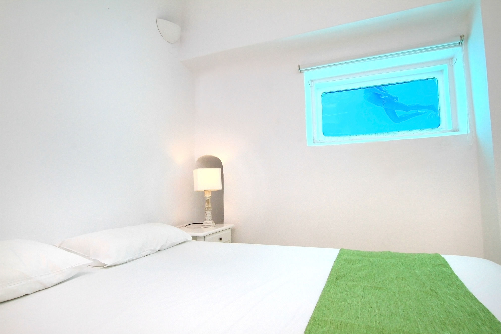 Фото Zenith Blue