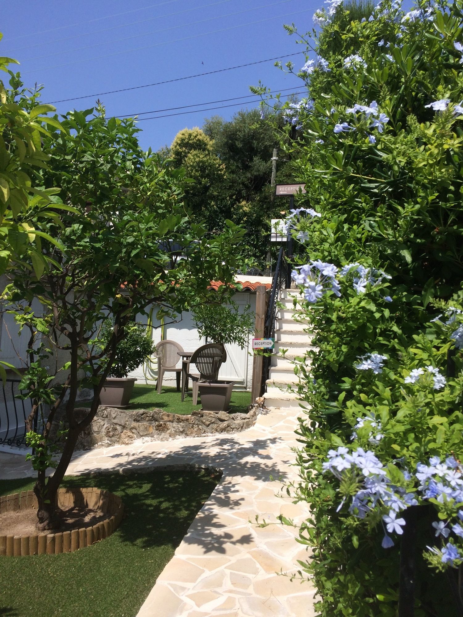 Фото Hotel & Studios Astor