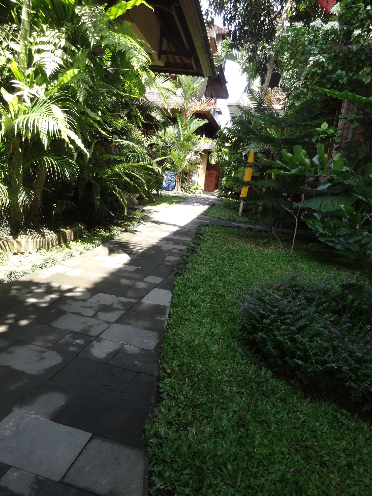 Фото Hibiscus Cottages