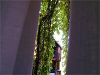 Фото Relais Palazzo Taverna