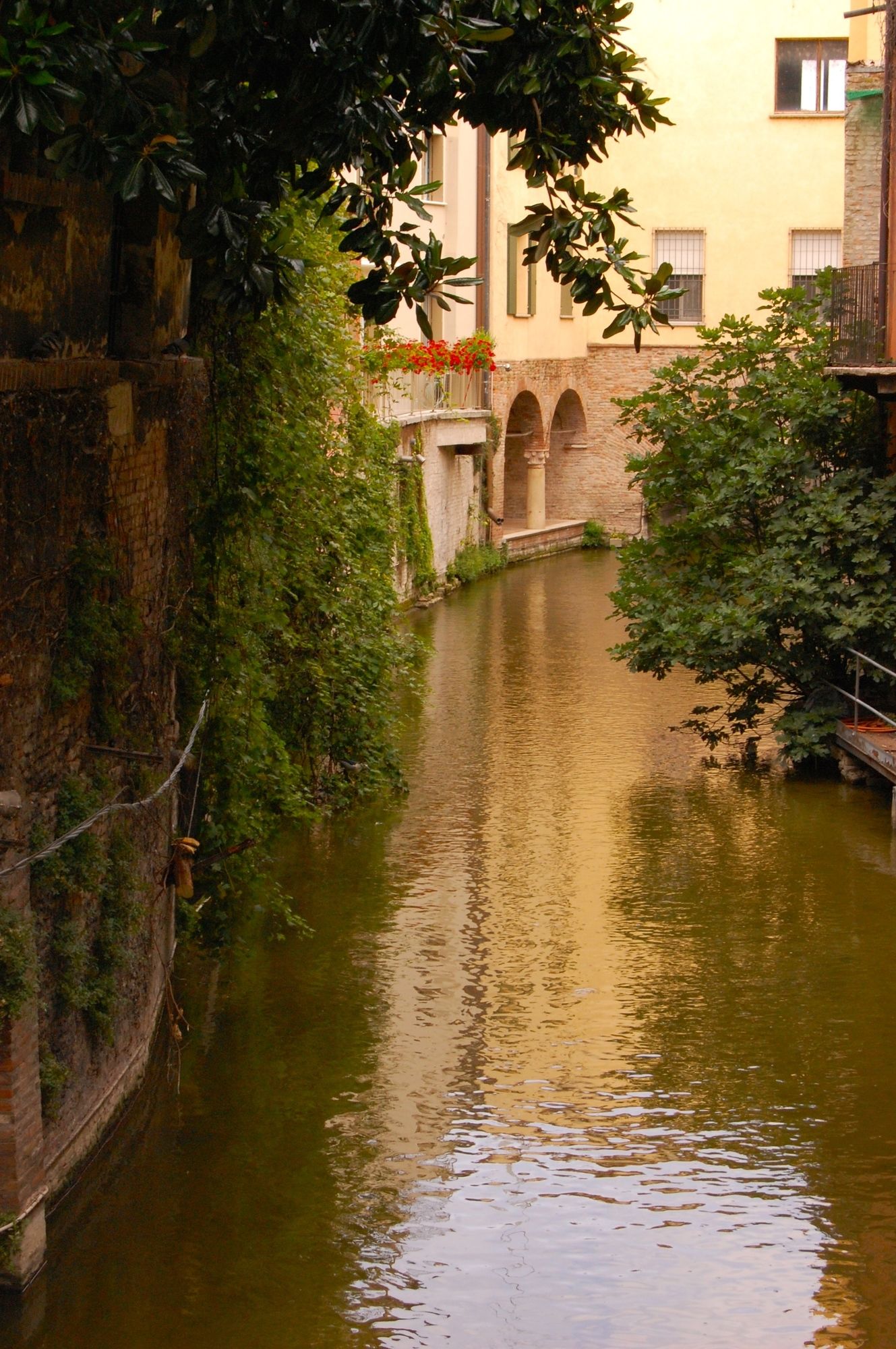 Фото A Casa dei Gonzaga