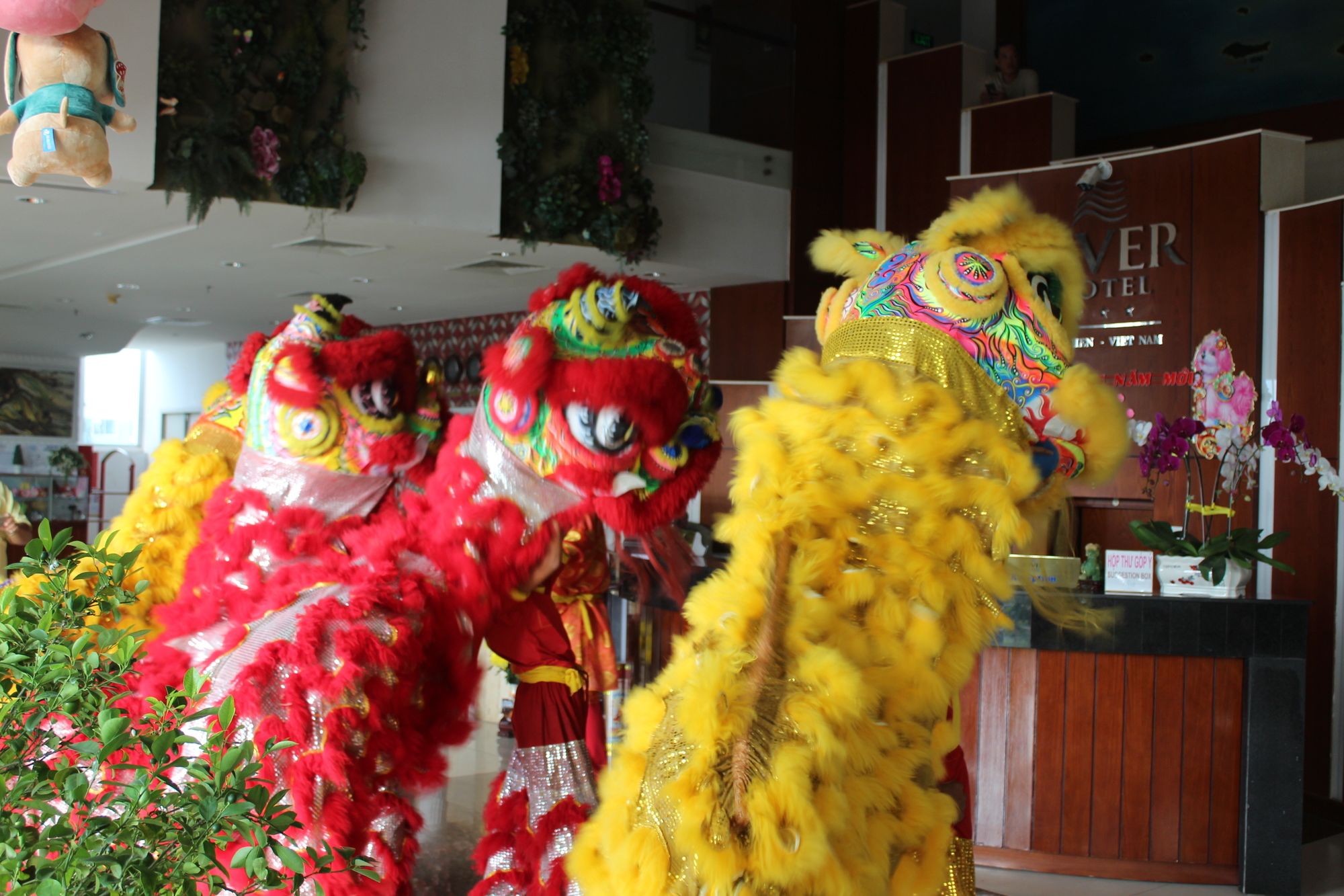 Фото River Hotel