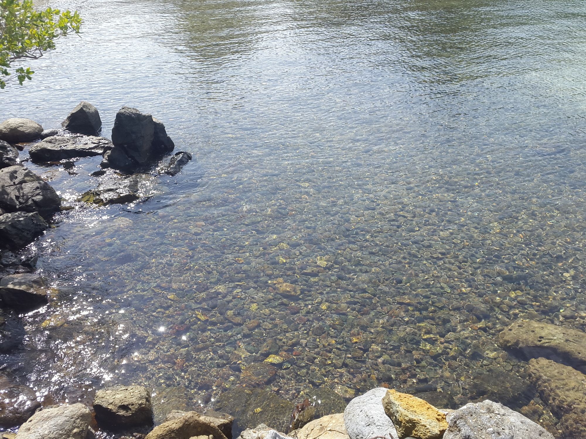 Фото River Hotel