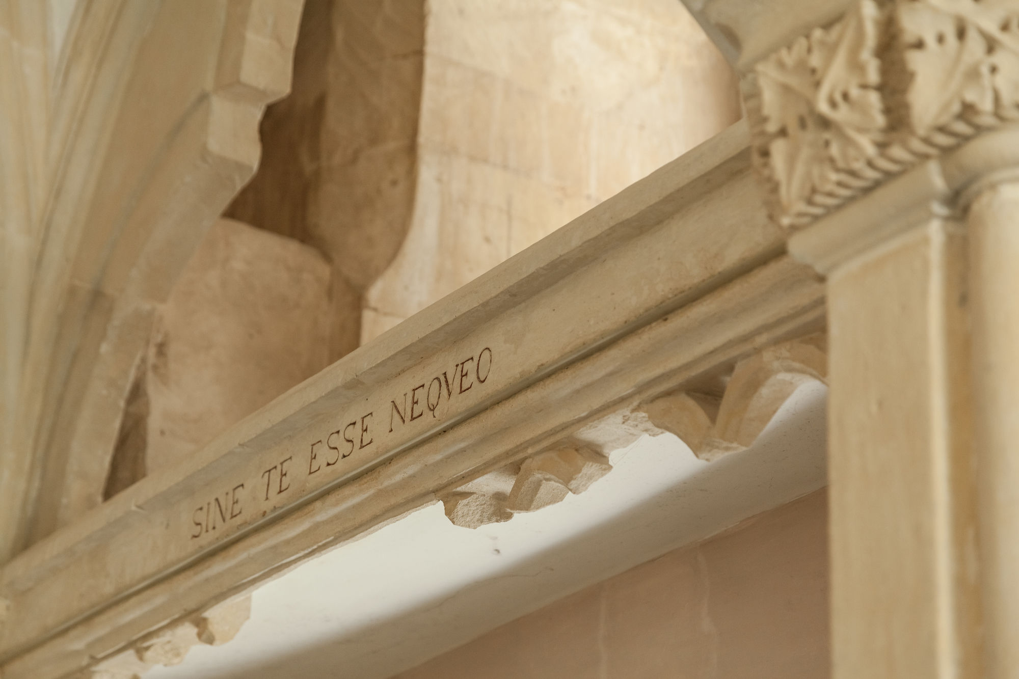 Фото Villa Boscarino