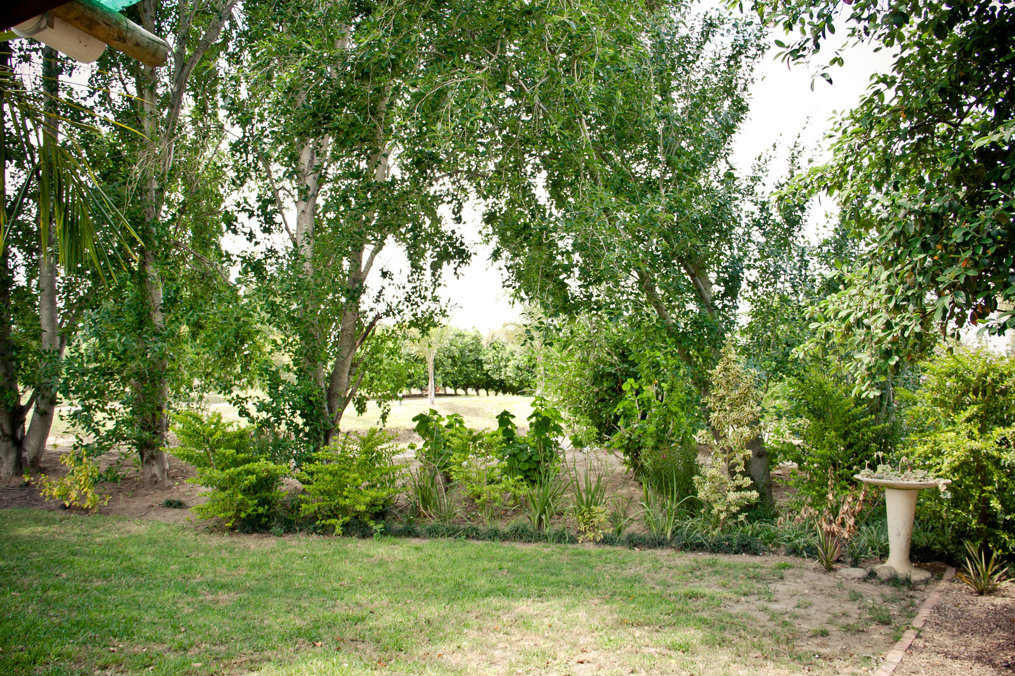 Фото De Old Drift Guest Farm