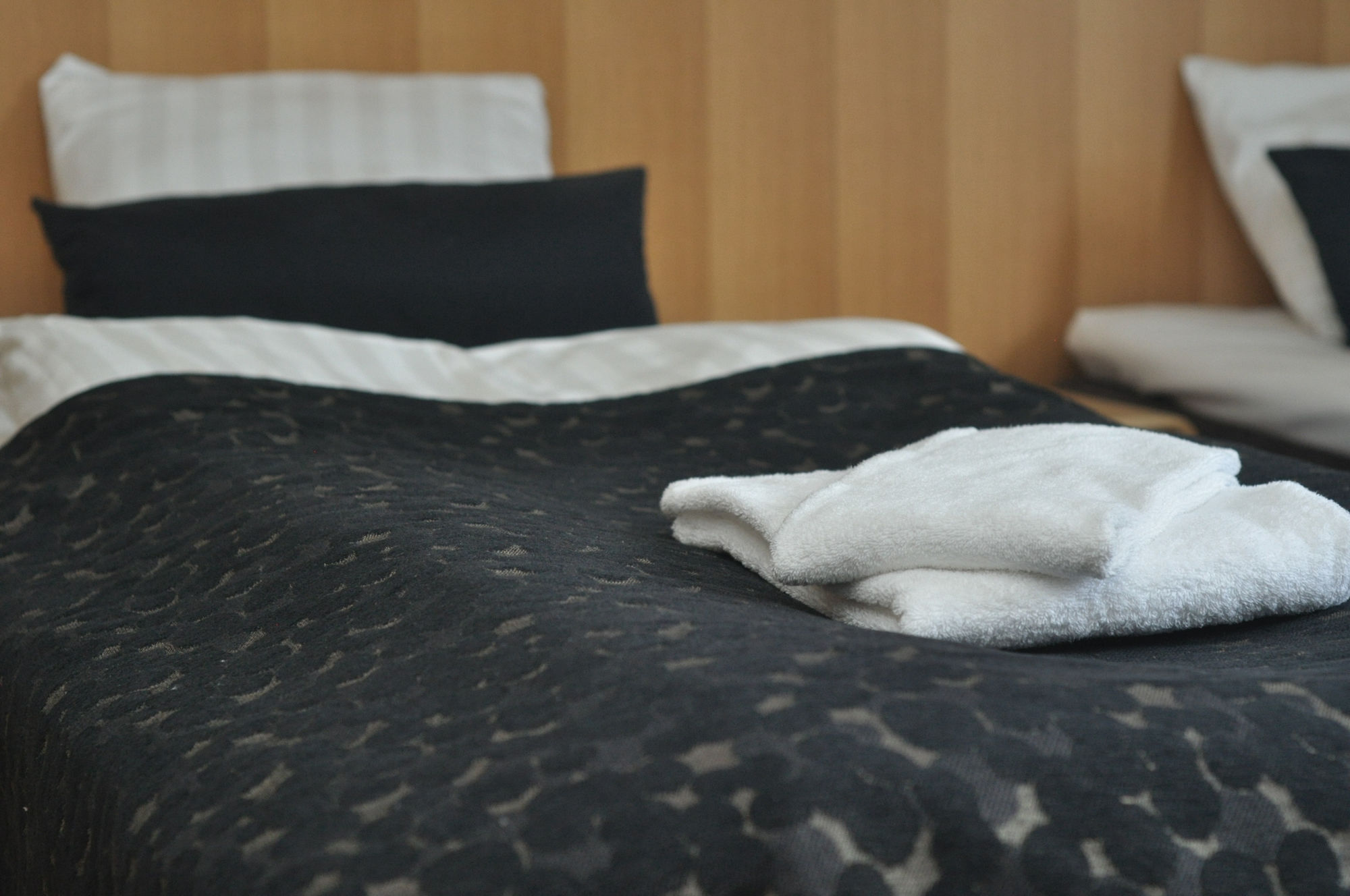 Фото Scandic Östersund Syd