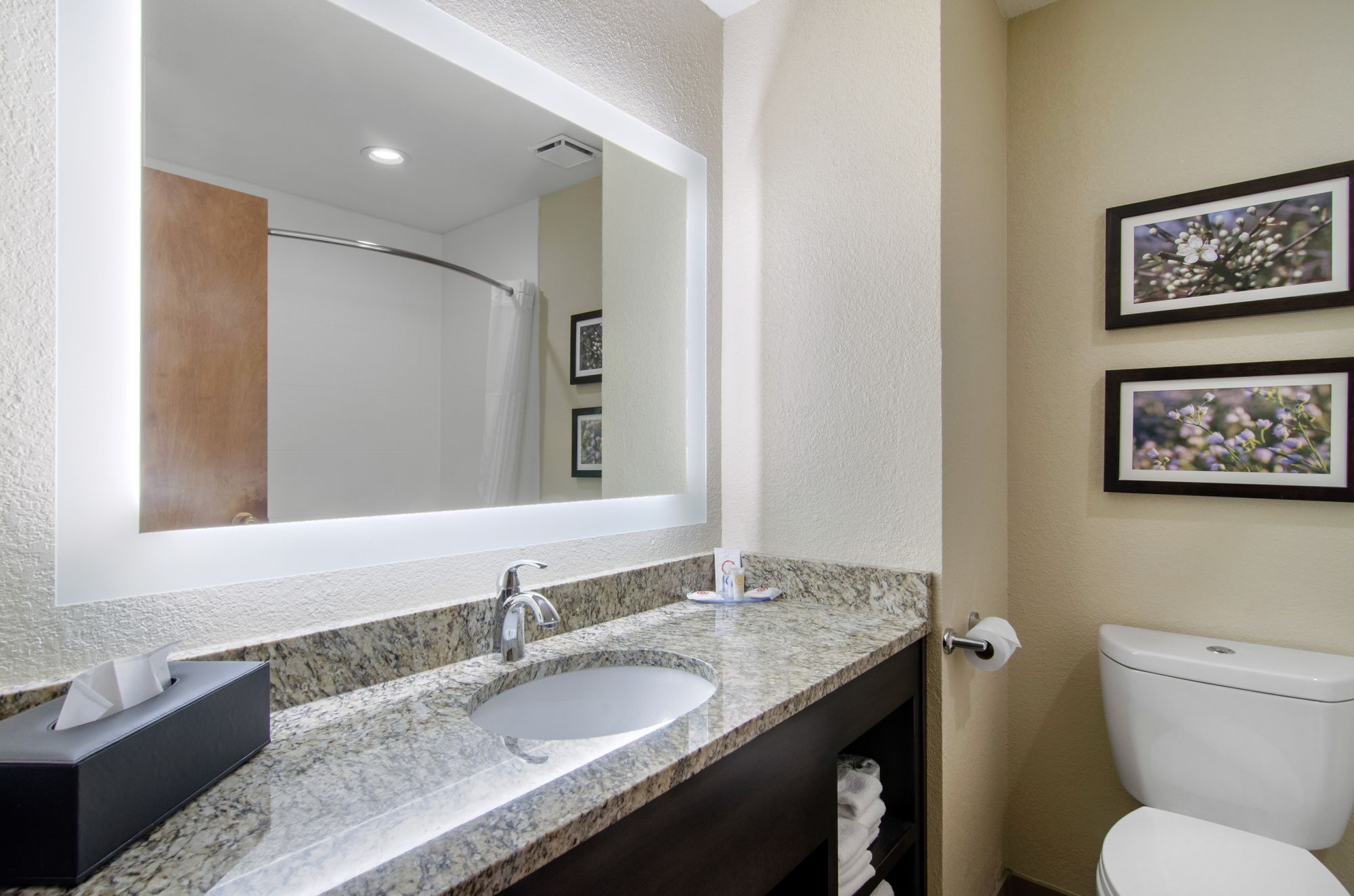 Фото Comfort Inn St. Robert Fort Leonard Wood