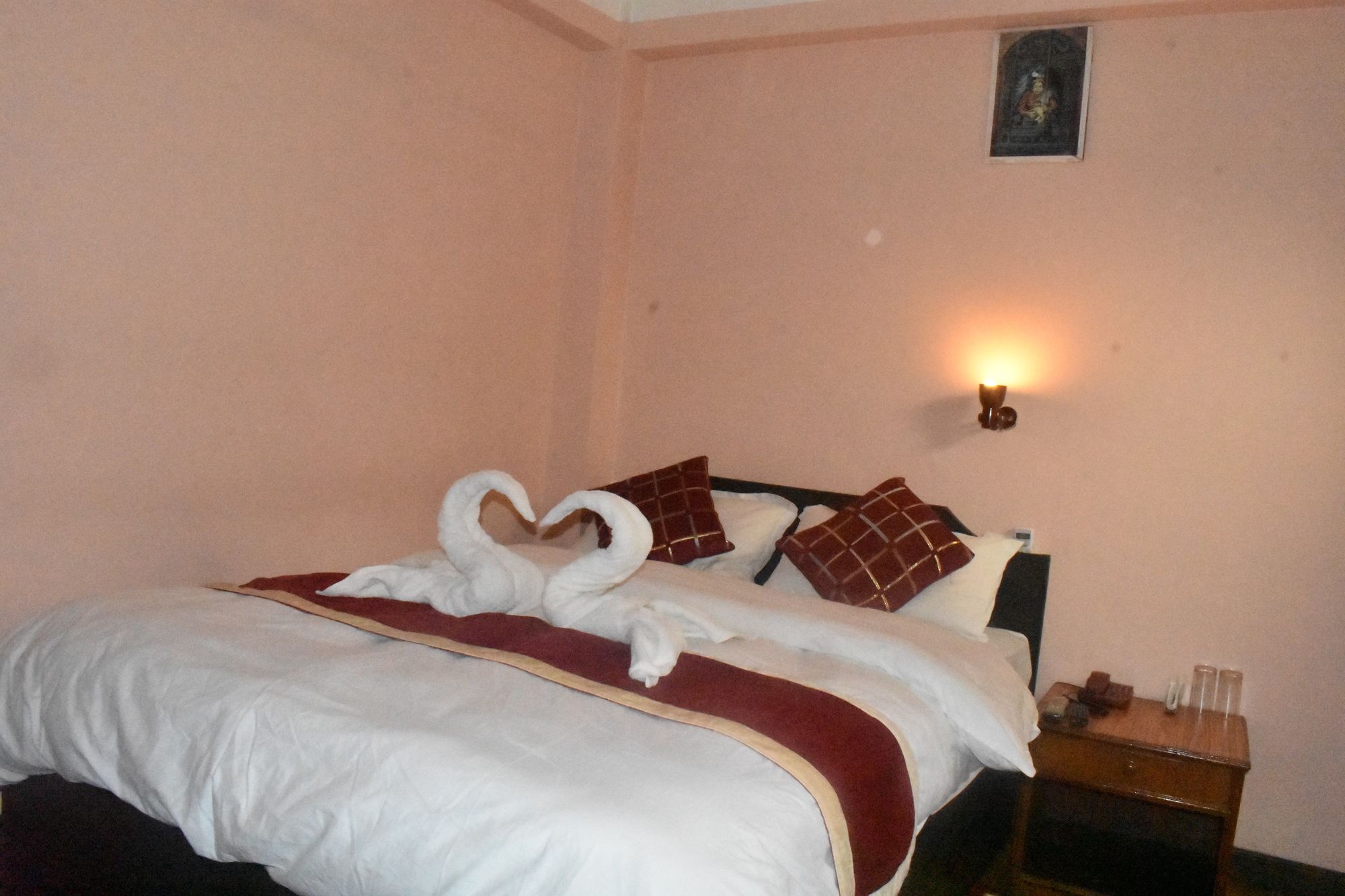 Фото Festoon Hotel