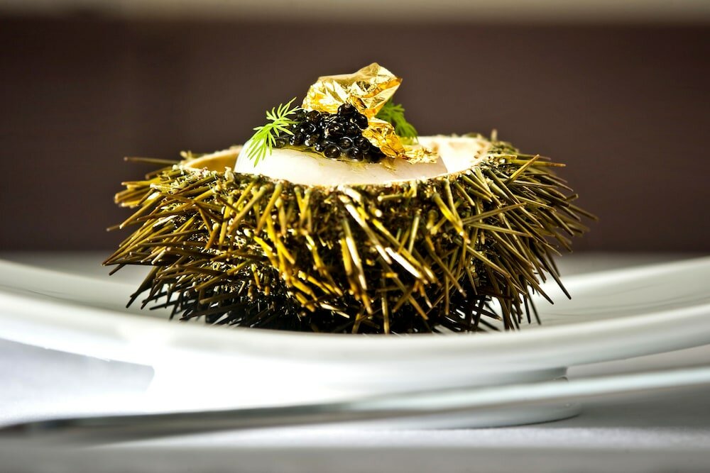 Фото Hotel Slovenija