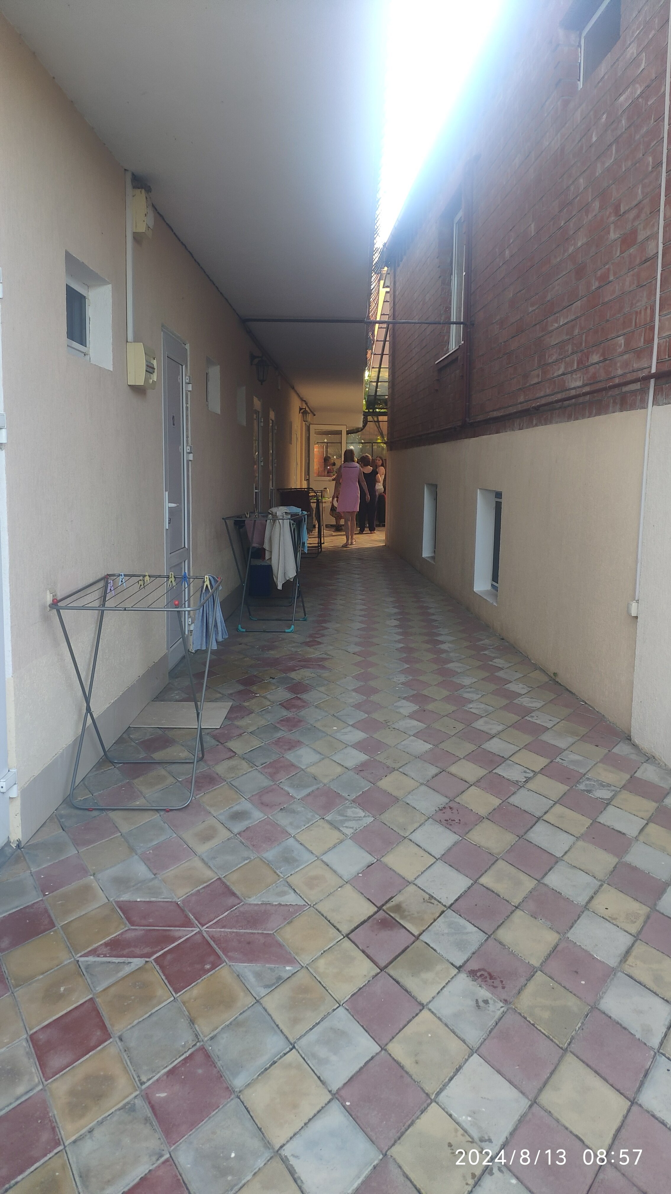 Фото Калатея