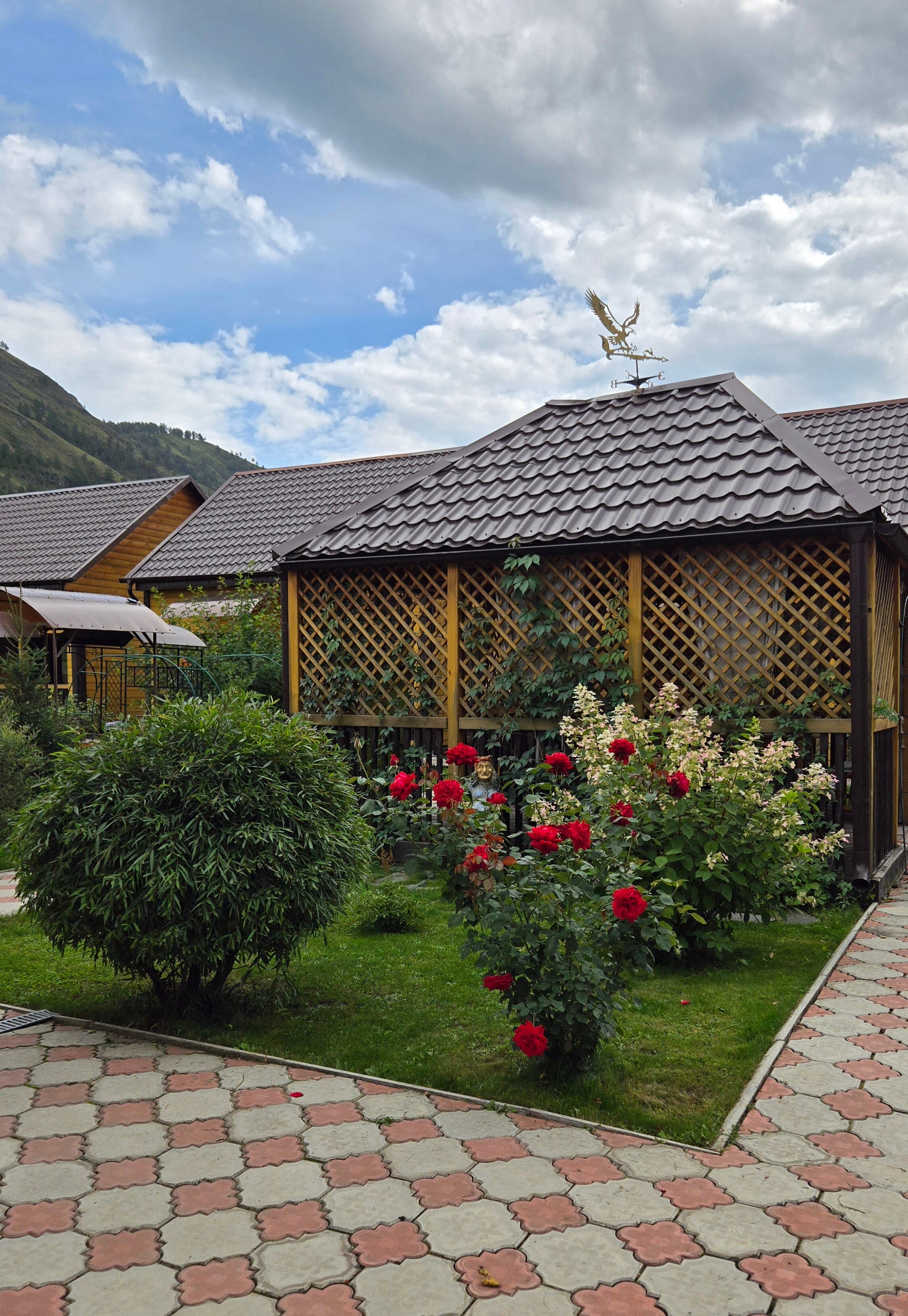 Фото Дача Удача