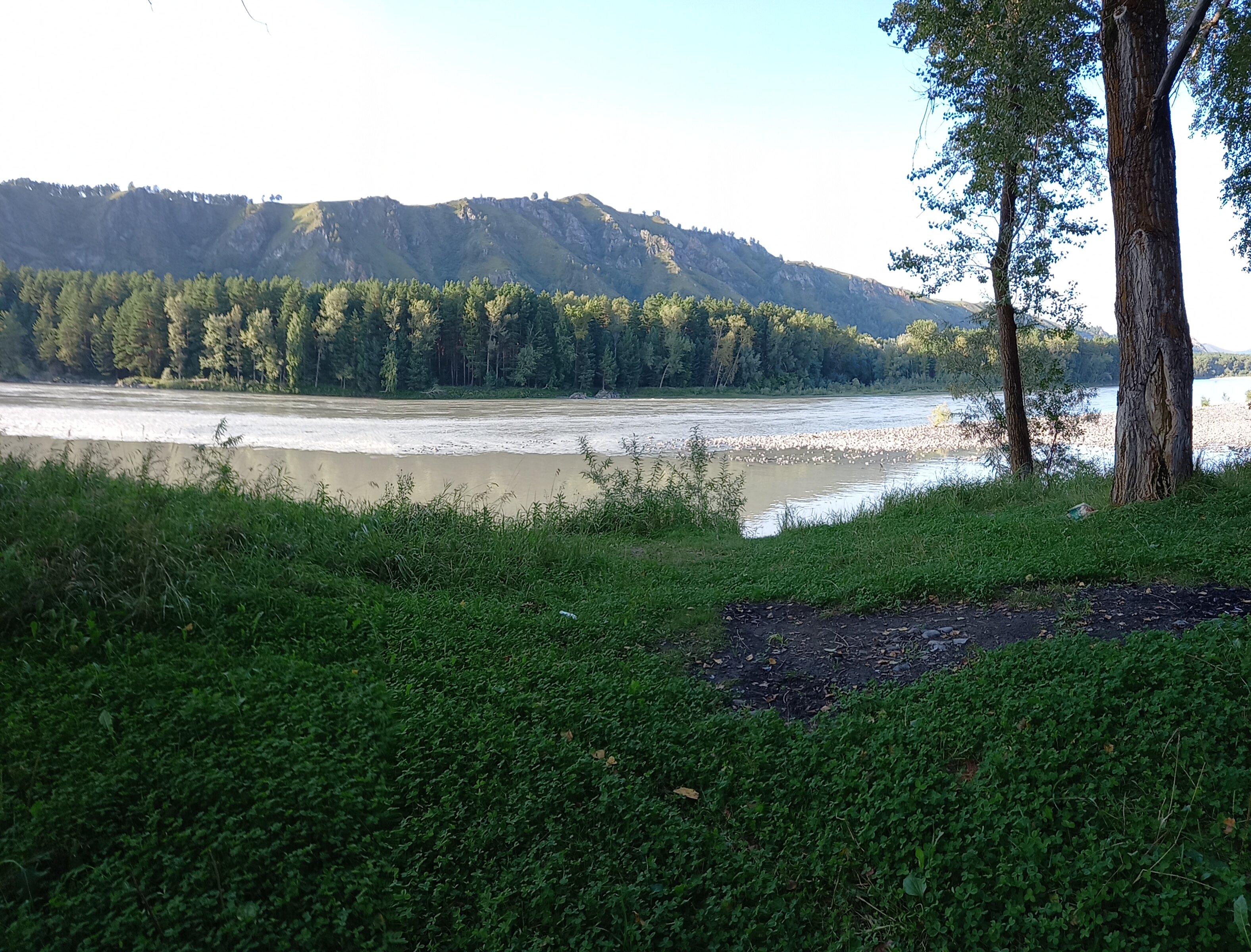 Фото Путник Алтая