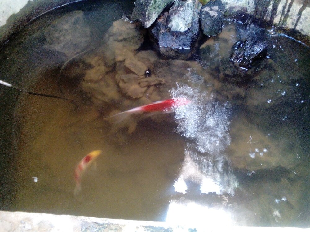 Фото Hotel Rural Cuatro Esquinas