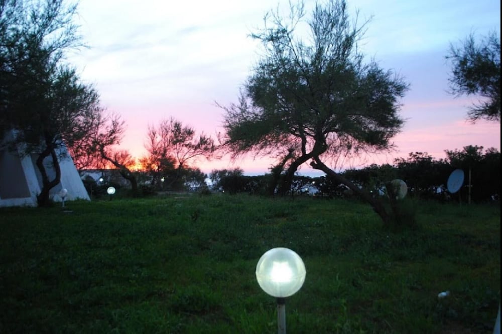 Фото Safir Mazafran